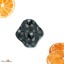 Load image into Gallery viewer, 6 Inch Reusable Cloth Pad: Organic Bamboo, moderate Absorbency, Frogs